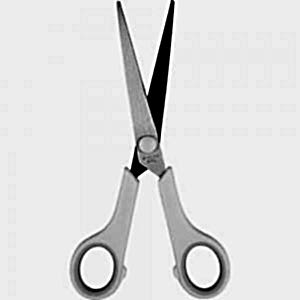 Makas ( 6,5 x 17,5 cm )