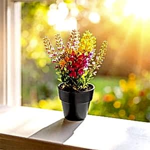 Bitki Yetiştirme Seti ( 6,5 x 4,2 x 6 cm )