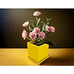 Kapaklı Bitki Dikim Seti ( 7,6 x 7,6 x 8 cm )