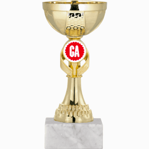 Ödül Kupası - 17 Cm