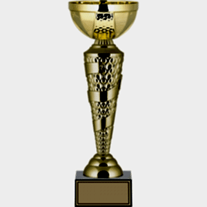 Ödül Kupası - 37 Cm