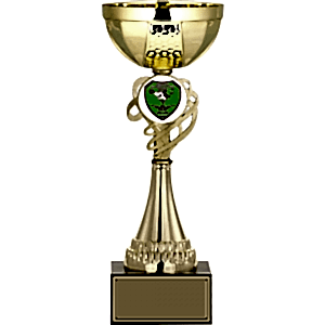 Ödül Kupası - 31 Cm
