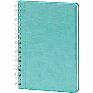 Spiralli Günlük Ajanda ( 17 x 24 cm )