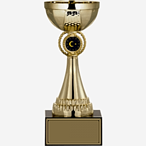 Ödül Kupası - 24 Cm