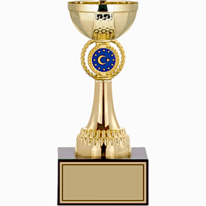 Ödül Kupası - 21 Cm