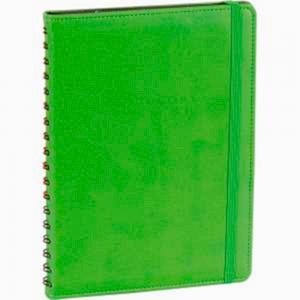 Gizli Spiralli Günlük Ajanda ( 17,5 x 24 cm )